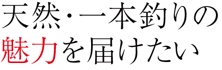 天然・一本釣りの魅力を届けたい