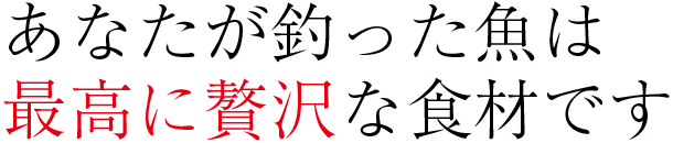あなたが釣った魚は最高に贅沢な食材です